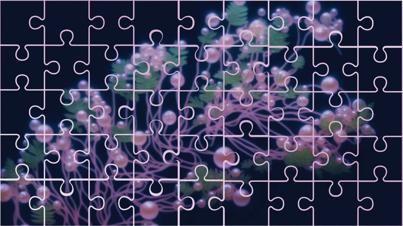 THE BOOK OF FLOWERS