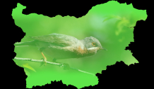 Птиците на България