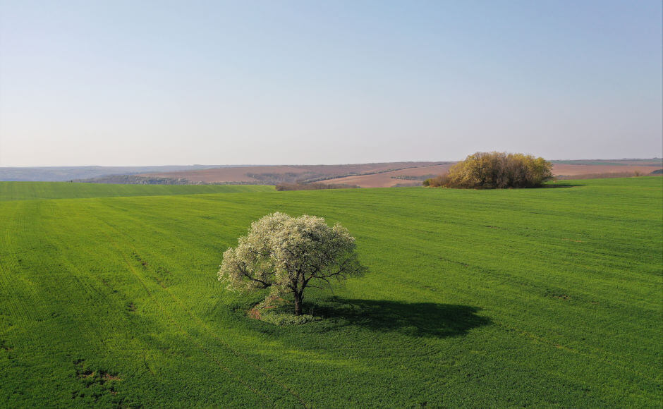 Лудогорие