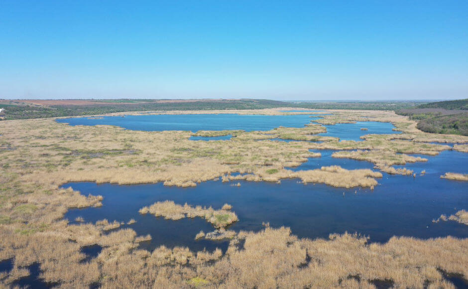 Сребърна Сребърна