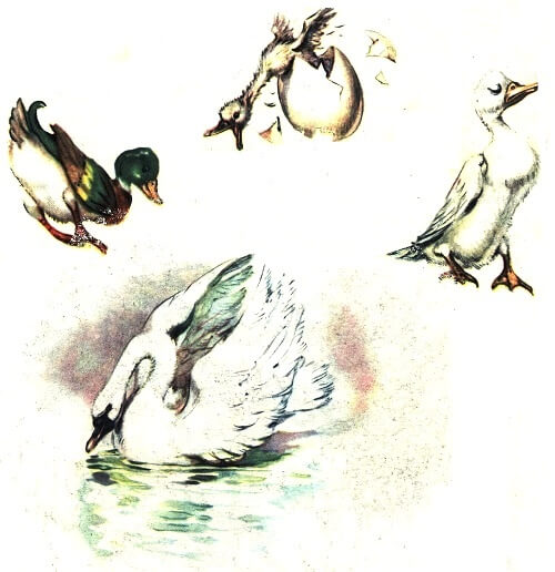 Грозното патенце Грозното патенце