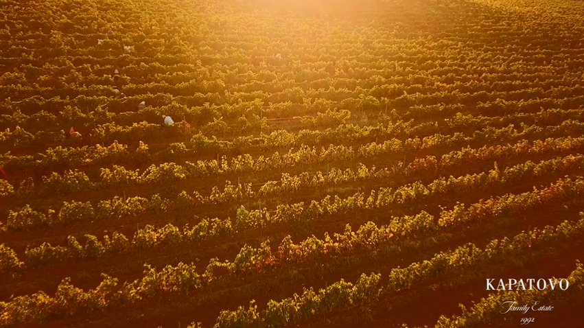 Kapatovo video thumbnail